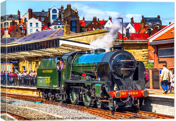 Repton at Whitby Canvas Print by Trevor Camp