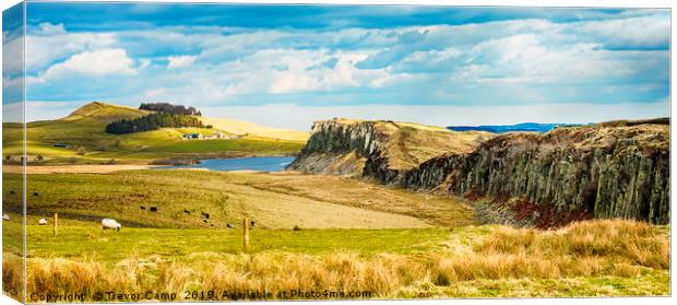 Steel Rigg - Hadrians Wall Canvas Print by Trevor Camp