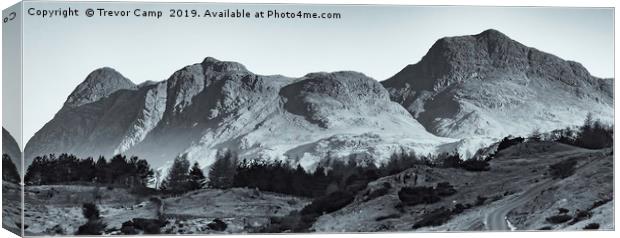 Langdale Pikes - Mono Canvas Print by Trevor Camp