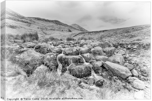 Cinderdale Beck - 02 Canvas Print by Trevor Camp