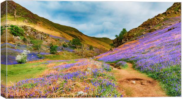 Rannerdale Bluebells - 05 Canvas Print by Trevor Camp