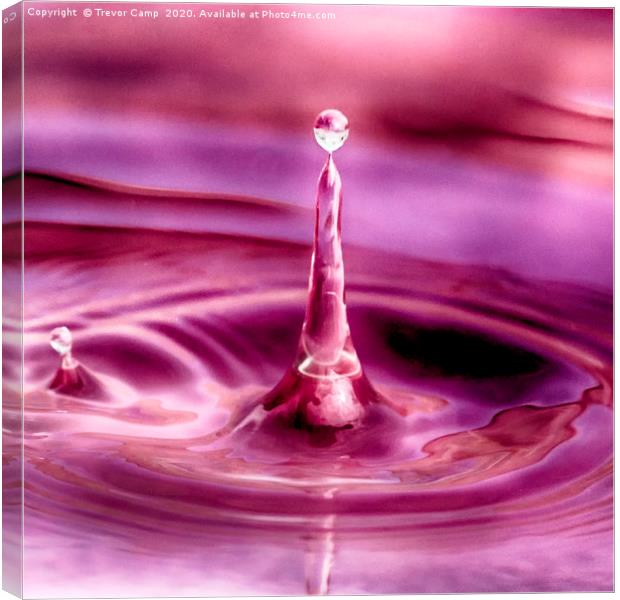 Water droplet - 04 Canvas Print by Trevor Camp