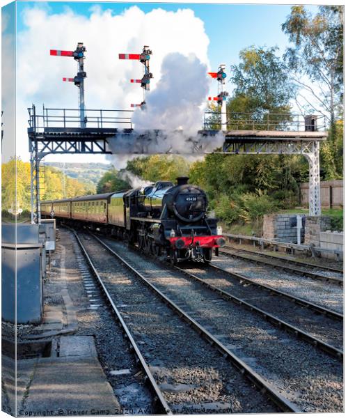 NYMR Whitby to Pickering 45428 Canvas Print by Trevor Camp