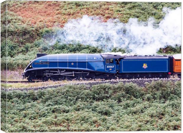 Sir Nigel Gresley at Moorgates - 02 Canvas Print by Trevor Camp