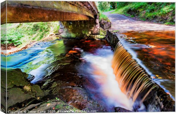 Blackling Hole Waterfall Canvas Print by Trevor Camp