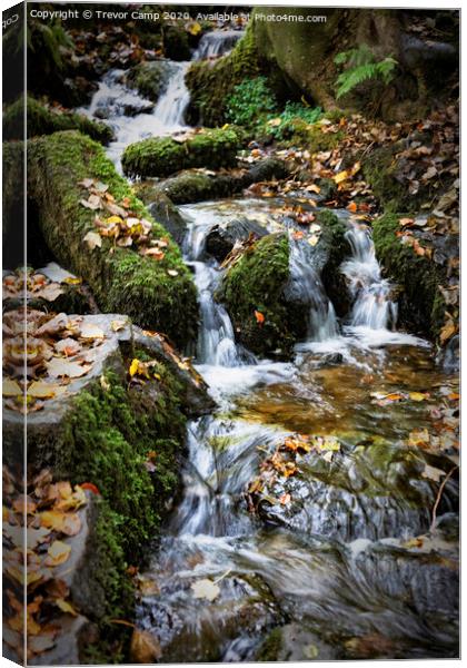 Babbling Brook Canvas Print by Trevor Camp