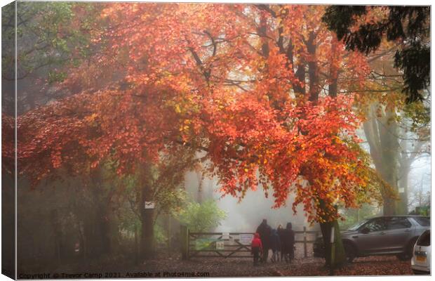 A Walk in the Autumn Mist Canvas Print by Trevor Camp