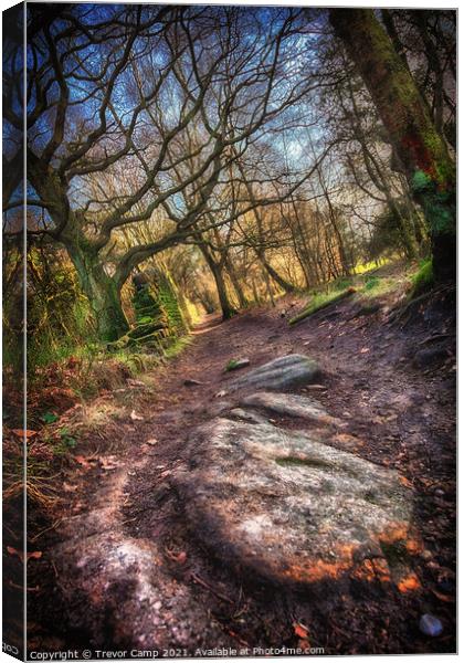 A Rocky Path Canvas Print by Trevor Camp