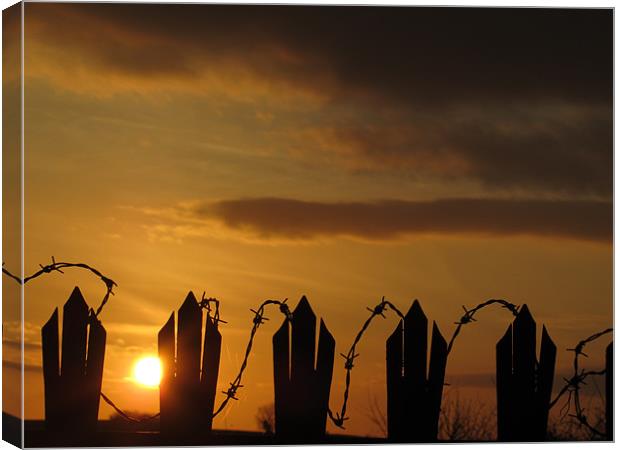 barbed wire fence at sunset Canvas Print by isaac ford