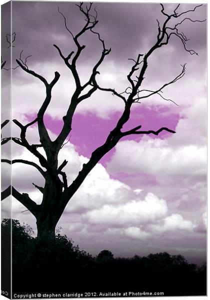 Purple sky tree Canvas Print by stephen clarridge