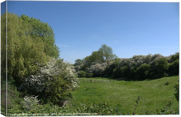 meadows at skegby nottinghamshire Canvas Print by stephen clarridge