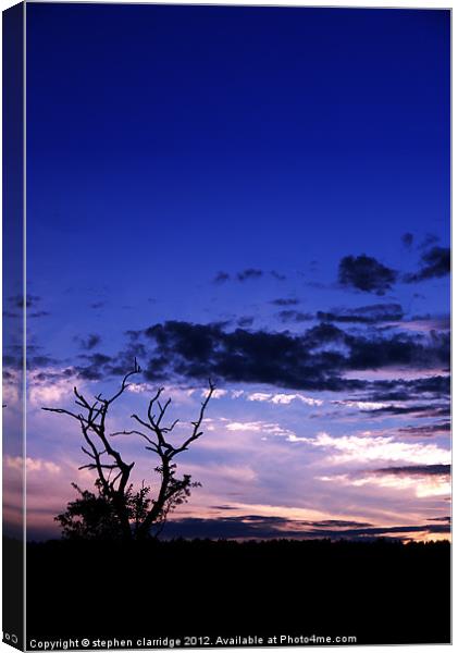 Tree at sunset 3 Canvas Print by stephen clarridge