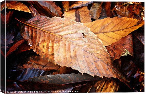 Autumn leaves Canvas Print by stephen clarridge