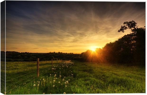 Dandelion Trail Sunset in Herefordshire Canvas Print by Steven Clements LNPS