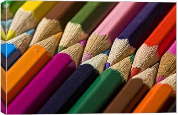 Interlocked Coloured Pencils Canvas Print by Steven Clements LNPS