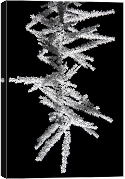 Cobweb Covered in Frost Crystals Canvas Print by Steven Clements LNPS