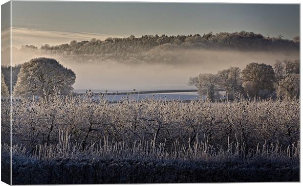 Frosty Misty Morning Canvas Print by Steven Clements LNPS
