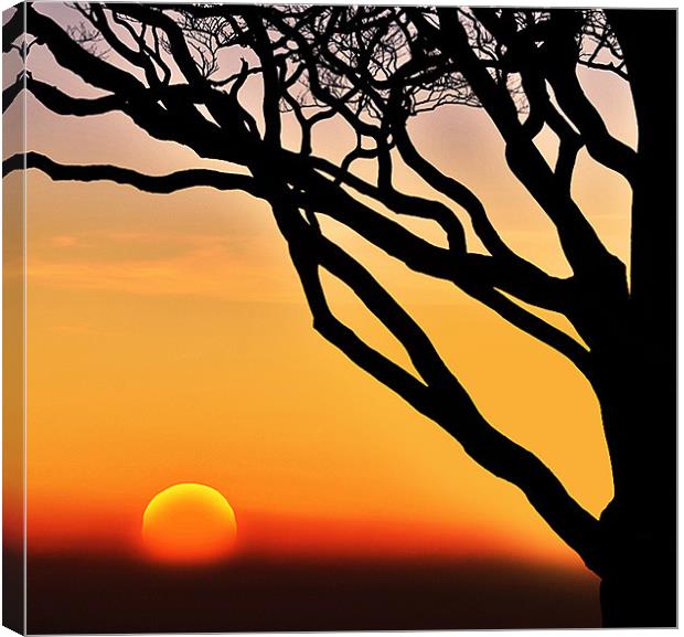 Sunset Canvas Print by Jamie Keith