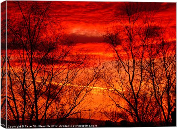 Fiery Trees Canvas Print by Peter Shuttleworth