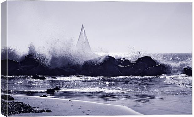Breaking surf Canvas Print by David Worthington