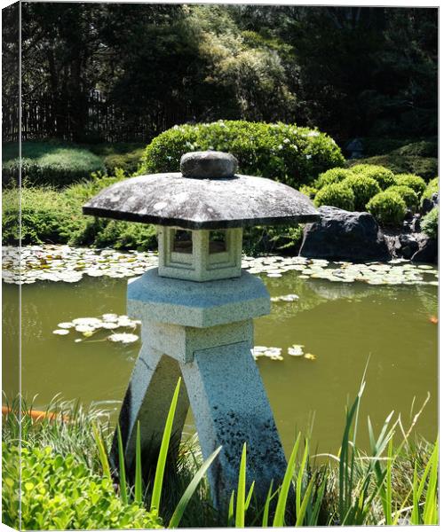 Japanese garden lake  Canvas Print by David Worthington