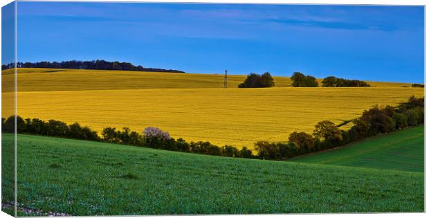 British Colourful field view in Summer Canvas Print by Kat Arul