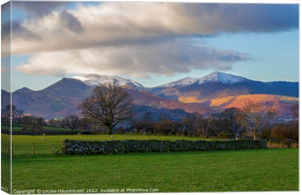 Catbells and the Derwent Fells from Castlerigg, Lake District, Cumbria Canvas Print by Louise Heusinkveld