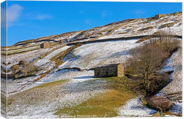 Stone barn in Swaledale, Yorkshire Dales National Park Canvas Print by Louise Heusinkveld