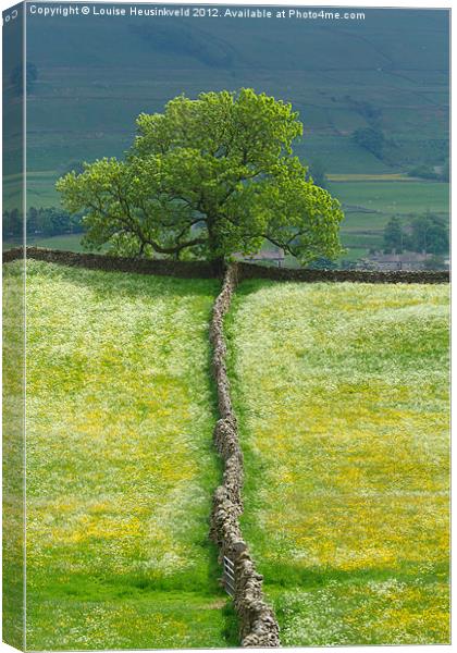 Lone Tree and Stone Wall Canvas Print by Louise Heusinkveld