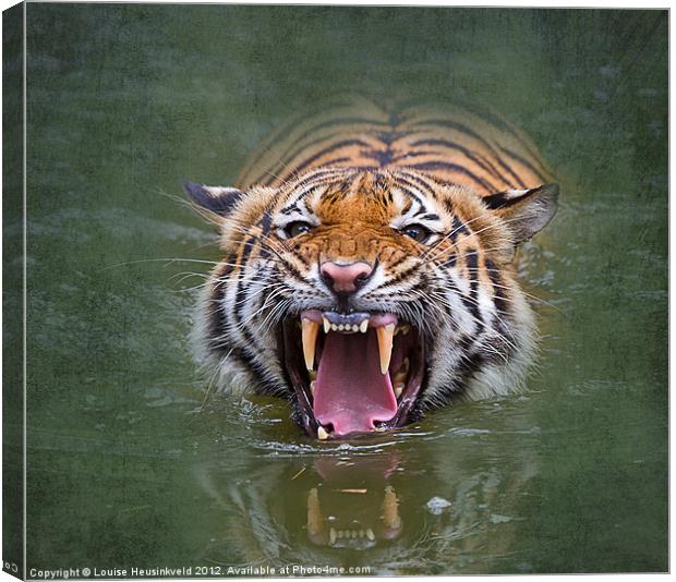 Sumatran tiger Canvas Print by Louise Heusinkveld