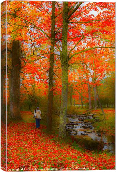 Walking by the Stream Canvas Print by Louise Heusinkveld