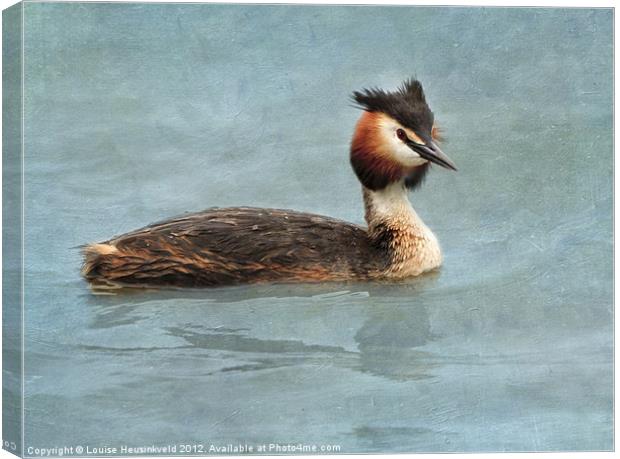 Great Crested Grebe Canvas Print by Louise Heusinkveld