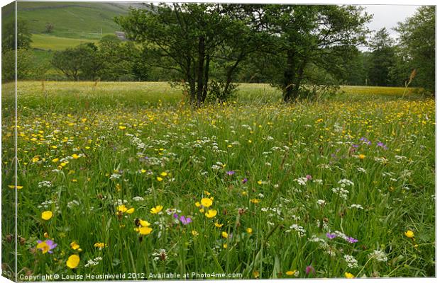 Yellands Meadow, Swaledale Canvas Print by Louise Heusinkveld