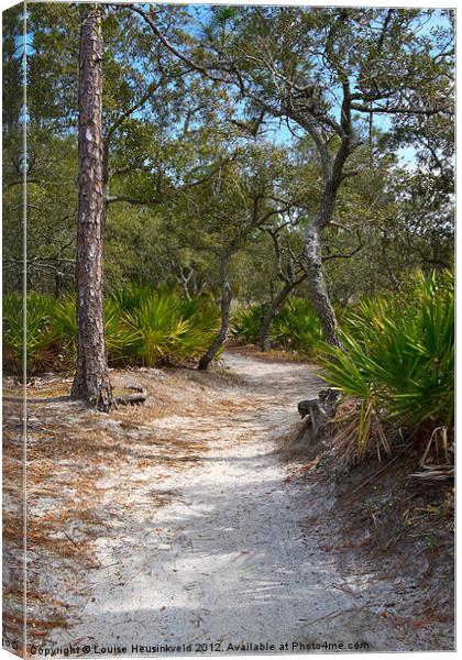 Sandy Path Canvas Print by Louise Heusinkveld