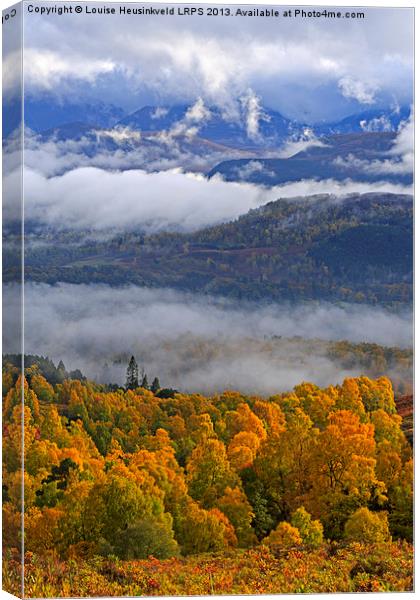 Misty day in the Cairngorms in Autumn Canvas Print by Louise Heusinkveld