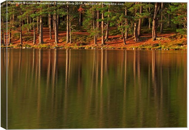 Pine forest and still waters of the loch at dawn Canvas Print by Louise Heusinkveld