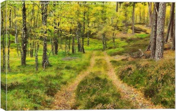 Track Through the Autumn Woods Canvas Print by Louise Heusinkveld