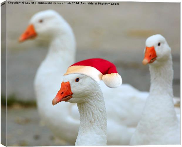 Three Geese Canvas Print by Louise Heusinkveld