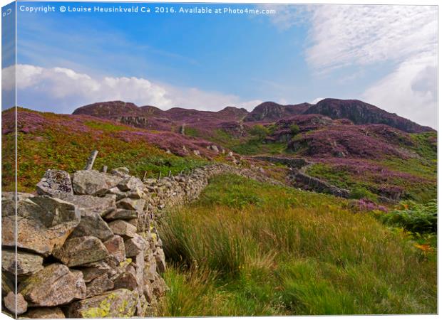 High Crag and Willygrass Gill above Stonethwaite i Canvas Print by Louise Heusinkveld