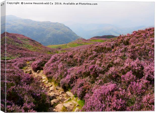 Heather on Stonethwaite Fell below High Crag and L Canvas Print by Louise Heusinkveld