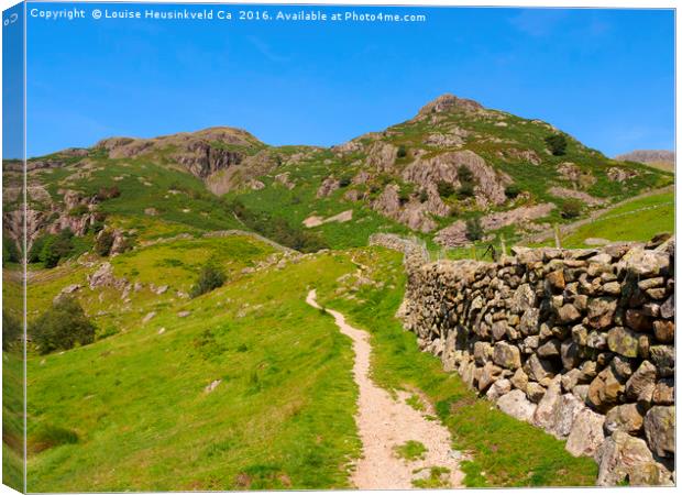 Langdale Fell, Great Langdale, Lake District, Cumb Canvas Print by Louise Heusinkveld