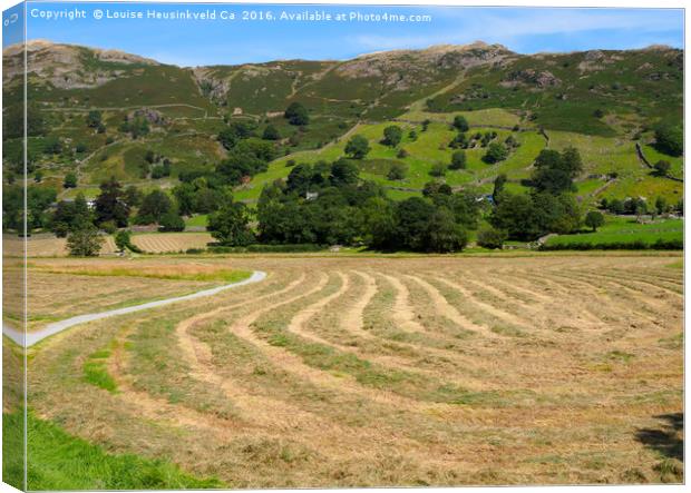 A field of freshly mown hay drying in Great Langda Canvas Print by Louise Heusinkveld