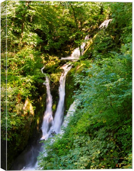 Stock Ghyll Force, Ambleside, Lake District, Cumbr Canvas Print by Louise Heusinkveld