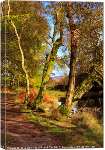 Footpath at the edge of Lantys Tarn, Lake District Canvas Print by Louise Heusinkveld