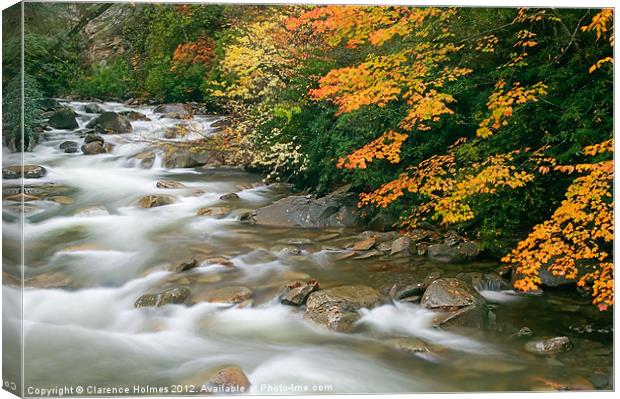Autumn River Cascades I Canvas Print by Clarence Holmes