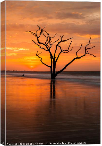 Edisto Island Sunrise V Canvas Print by Clarence Holmes