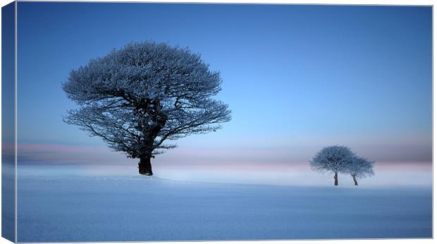 Pastel dawn Canvas Print by Robert Fielding