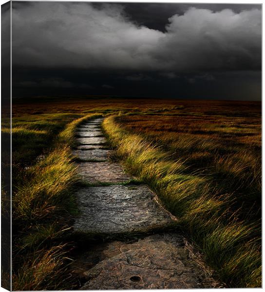 The Path Canvas Print by Robert Fielding