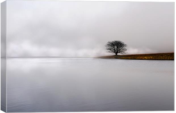 Lonely in the mist Canvas Print by Robert Fielding