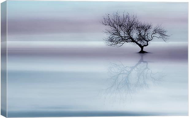 Tree of tranquility Canvas Print by Robert Fielding